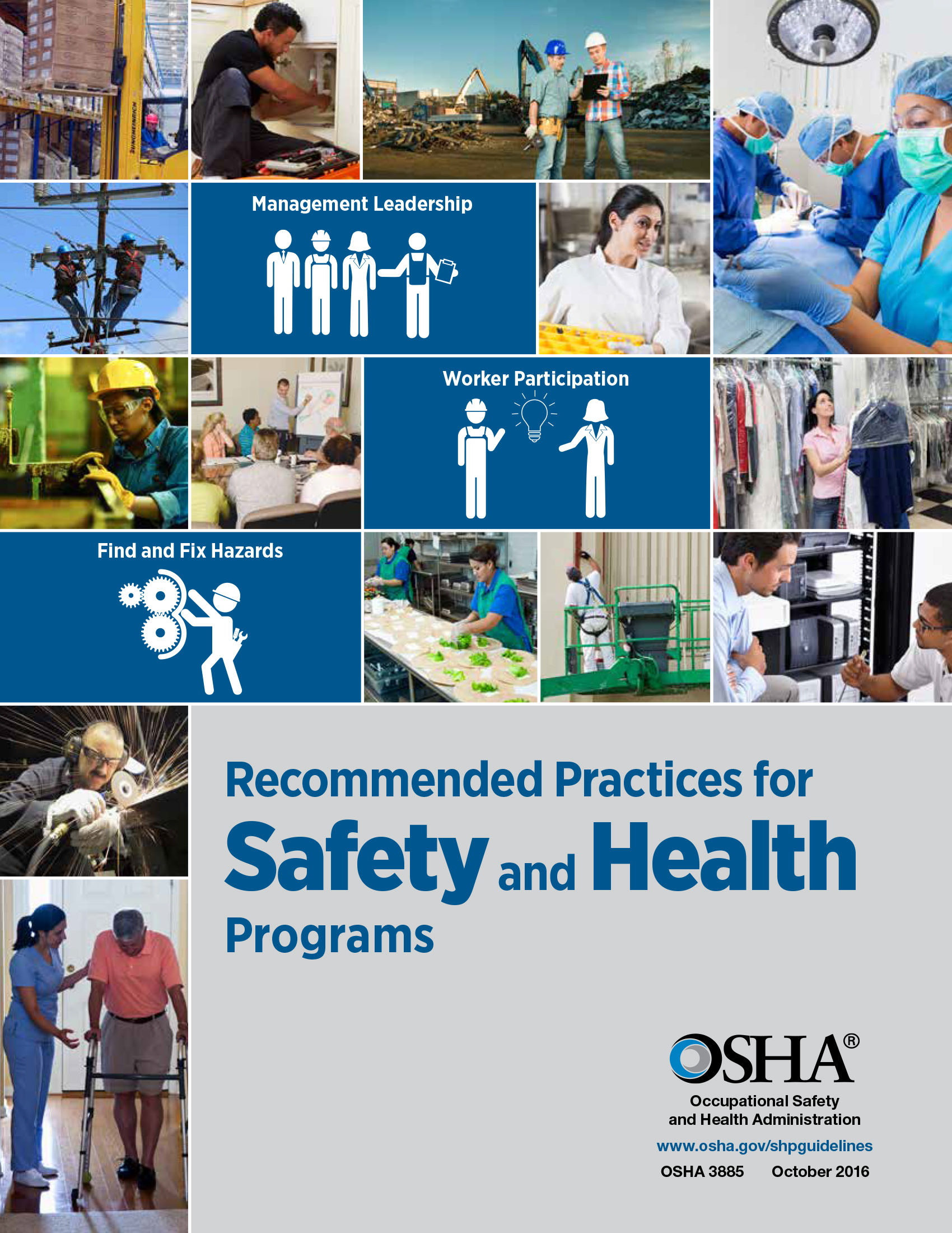 Recommendations for Safety and Health Programs cover