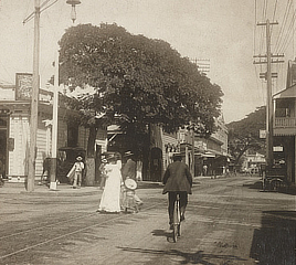 Stereograph card photographs of pedestrians and a bicyclist moving along a wide street bordered by commercial buildings and a large tree.