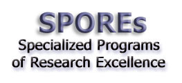 SPOREs - Specialized Programs of Research Excellence