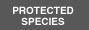 Protected Species