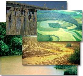 picture collage of areas in the Chesapeake Watershed