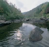 Still Photograph of Daddy's Creek