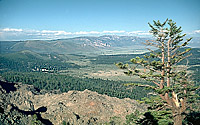 North caldera rim and Glass Mountain, Long Valley Caldera, California