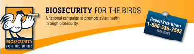 Biosecurity For The Birds masthead