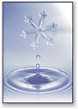 Image of snow crystal and water droplet