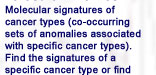 Molecular signatures of cancer types (co-occurring sets of anomalies associated with specific cancer types). Find the signatures of a specific cancer type or find the cancer type that most closely matches a particular signature.
