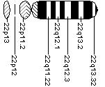 Ideogram of chromosome 