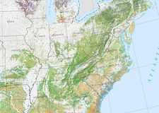 Link to Reduced Scale Rendition of the Forest Cover Types Map
