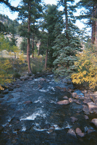 BIg Thompson River, Rocky Mountain National Park