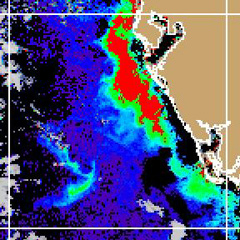 This satellite image reveals high concentrations of chlorophyll over a large area (in red), warning scientists of potential HAB activity off the Pacific Coast.