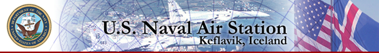 An image displaying the Navys Logo, Airplanes, the Icelandic Flag, and the American Flag in the background of a web.