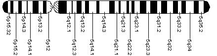 Ideogram of chromosome 