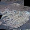 Mars Rovers Probing Water History at Two Sites 
