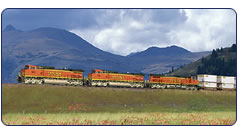 Freight train traveling through wildflower field with
blue Mountains behind.