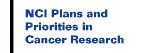 NCI Plans and Priorities in Cancer Research