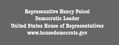 Representative Nancy Pelosi, Democratic Leader