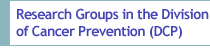 Research Groups in the Division of Cancer Prevention (DCP)