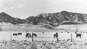 The Boulder Labs' site was used as a pasture in the early 1950s.