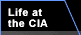 Life at the CIA