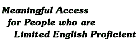 Meaningful Access for People who are Limited English Proficient