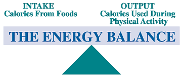 energy balance graphic, depicting the balance between intake calaries from food and output calaries used during physical activity