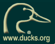 Duck Unlimited emblem