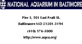 National Aquarium in Baltimore; Pier 3, 501 East Pratt St; Baltimore MD 21201-3194; (410) 576-3800