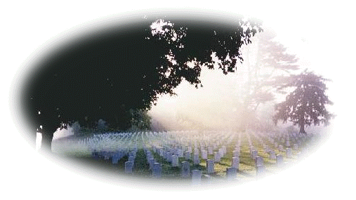 Large picture of a cemetery in misty sunshine