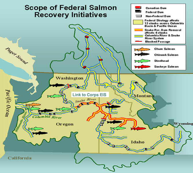 Map Showing scope of salmon recovery