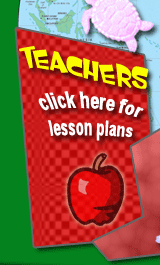 Teachers Icon