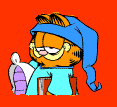 Garfield Star Sleeper logo