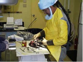USGS pathologists examine crows suspected of being infected with the West Nile virus.