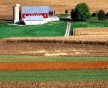 Image:  farmstead, Sustainable Agriculture