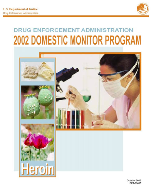 2002 Domestic Monitor Program cover