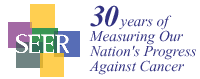 SEER 30th anniversary logo