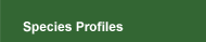 Species Profiles