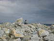 A seal on rocks.