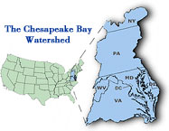 graphic representation of the Chesapeake Watershed area that the CBP  Chesapeake 2000 agreement covers