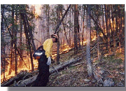Photograph of FIA forester and fire fighter Travis in Hidden Lake, Montana, 2003.