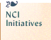 NCI Initiatives