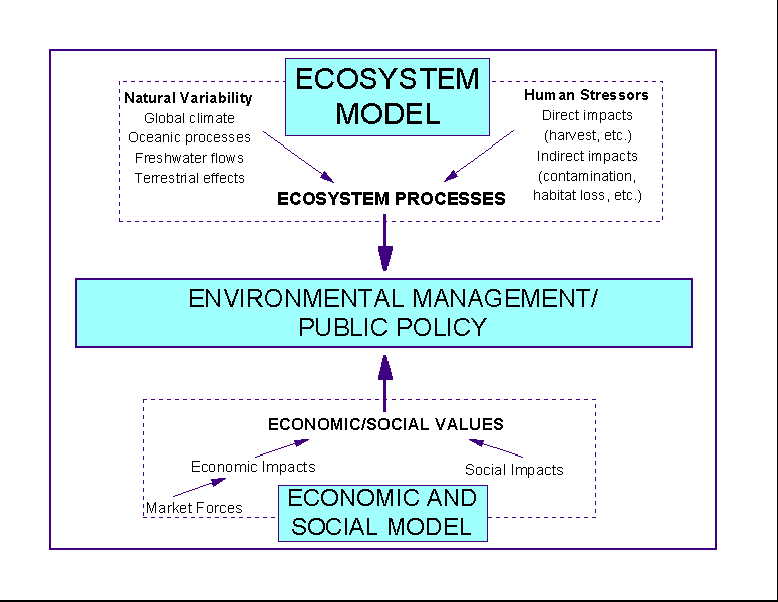 PNCERS Ecosystem Model