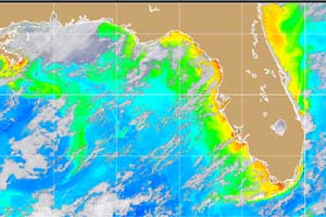 NOAA satellite image of chlorophyll concentration in the Gulf of Mexico and Florida coasts taken at 2:31 p.m. EDT on Sept. 29, 2004.