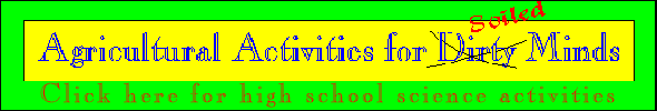 Banner for high school student activities