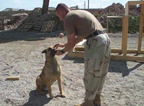 Four-Legged Troops Get Parcels Too