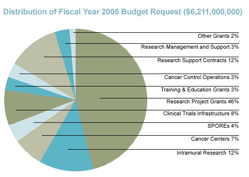 Distribution of Fiscal Year 2005 Budget Request ($6,211,000,000)
