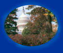 Image of U S Capitol Dome.  Also, Click here to Skip Navigation Bar