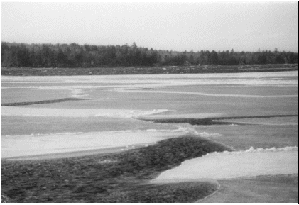 Ice-out on Sebago Lake, Maine, spring 1985