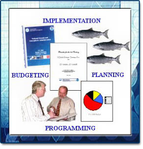Implementation, Budgeting, Planning, Programming