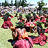 Link to news releases - picture of Hula halau performing at the park's annual cultural festival