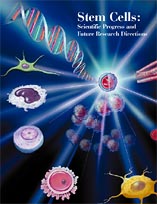 Stem Cells: Scientific Progress and Future Research Directions cover graphic